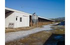 Property photo 101 - 2-Day Absolute Auction - 113 Acres in 5 Tracts & Farm Equipment