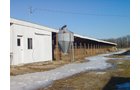 Property photo 127 - 2-Day Absolute Auction - 113 Acres in 5 Tracts & Farm Equipment
