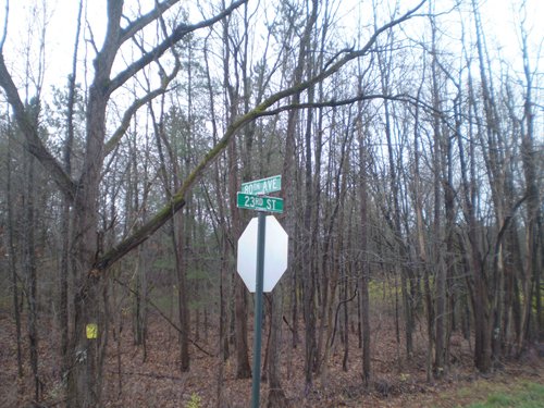 Property photo 2 - 65 Acres Offered in 7 Tracts