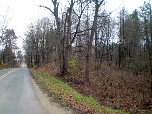 Property photo 10 - 65 Acres Offered in 7 Tracts