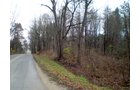 Property photo 10 - 65 Acres Offered in 7 Tracts