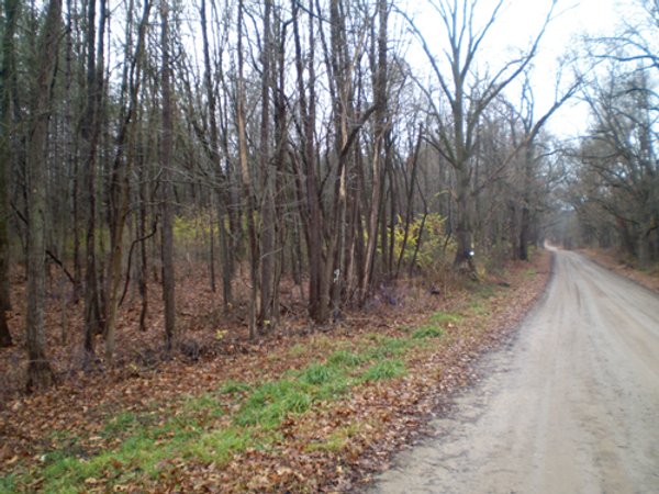 65 Acres Offered in 7 Tracts
