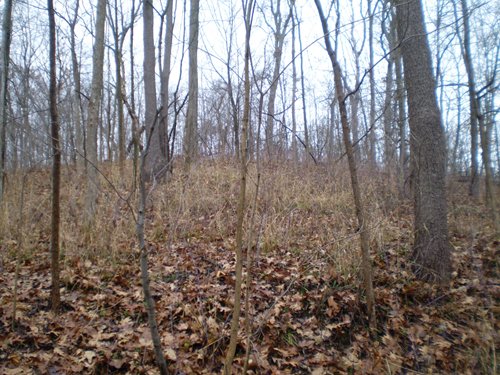 Property photo 8 - 65 Acres Offered in 7 Tracts