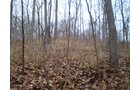 Property photo 8 - 65 Acres Offered in 7 Tracts