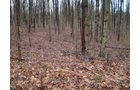 Property photo 9 - 65 Acres Offered in 7 Tracts