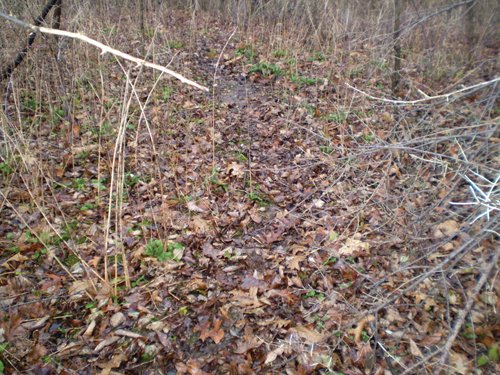 Property photo 7 - 65 Acres Offered in 7 Tracts