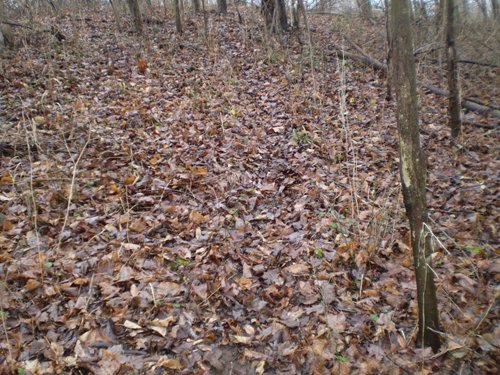 Property photo 6 - 65 Acres Offered in 7 Tracts
