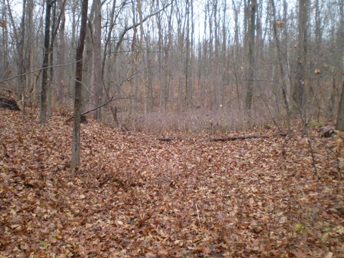Property photo 4 - 65 Acres Offered in 7 Tracts