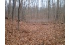 Property photo 4 - 65 Acres Offered in 7 Tracts