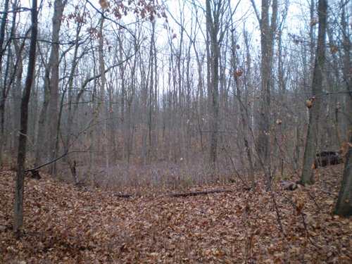 Property photo 12 - 65 Acres Offered in 7 Tracts