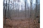 Property photo 12 - 65 Acres Offered in 7 Tracts