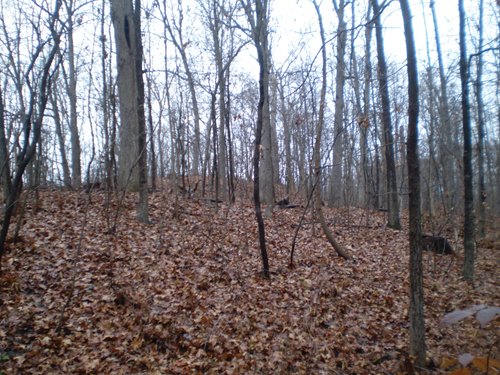 Property photo 11 - 65 Acres Offered in 7 Tracts