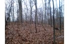 Property photo 11 - 65 Acres Offered in 7 Tracts