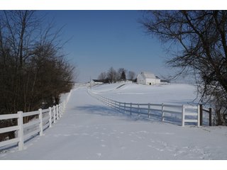 Property photo 1 - 681 Contiguous Acres Offered in 15 Tracts