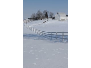 Property photo 14 - 681 Contiguous Acres Offered in 15 Tracts