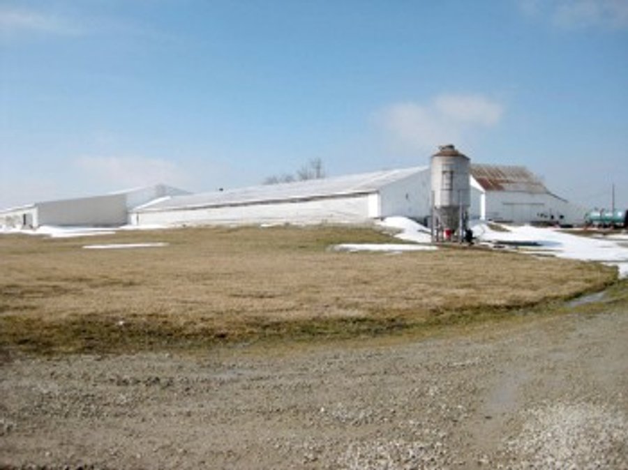 For sale: 7.25 Acres - Swine Facility - Hartford City, IN