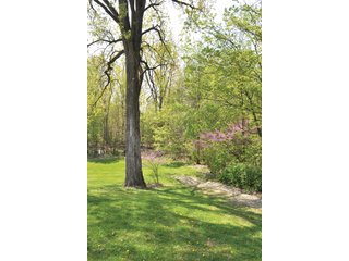 A very private setting with a unique view down the length of Shriner Lake.  Beautiful country setting with mature trees, great views of the lake from an elevated deck.  Road frontage on two sides!  Includes lovely orchard.  Great location close to Columbia City and Fort Wayne, - Lakefront Property on Shriner Lake