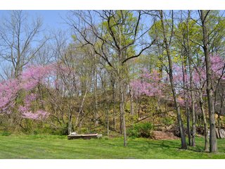 A very private setting with a unique view down the length of Shriner Lake.  Beautiful country setting with mature trees, great views of the lake from an elevated deck.  Road frontage on two sides!  Includes lovely orchard.  Great location close to Columbia City and Fort Wayne, - Lakefront Property on Shriner Lake