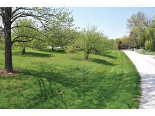 A very private setting with a unique view down the length of Shriner Lake.  Beautiful country setting with mature trees, great views of the lake from an elevated deck.  Road frontage on two sides!  Includes lovely orchard.  Great location close to Columbia City and Fort Wayne, - Lakefront Property on Shriner Lake