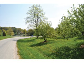A very private setting with a unique view down the length of Shriner Lake.  Beautiful country setting with mature trees, great views of the lake from an elevated deck.  Road frontage on two sides!  Includes lovely orchard.  Great location close to Columbia City and Fort Wayne, - Lakefront Property on Shriner Lake