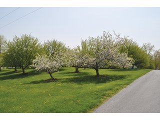 A very private setting with a unique view down the length of Shriner Lake.  Beautiful country setting with mature trees, great views of the lake from an elevated deck.  Road frontage on two sides!  Includes lovely orchard.  Great location close to Columbia City and Fort Wayne, - Lakefront Property on Shriner Lake
