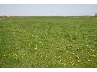 A gently rolling farm, just off of SR 205.  Includes frontage on the drainage ditch.  Per aerial map, Seller to retain 60' on east boundary of property and Seller to retain 60' easement on south side of ditch for ingress/egress. - 95 Acre Grain Farm