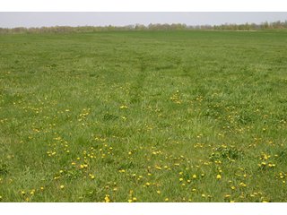A gently rolling farm, just off of SR 205.  Includes frontage on the drainage ditch.  Per aerial map, Seller to retain 60' on east boundary of property and Seller to retain 60' easement on south side of ditch for ingress/egress. - 95 Acre Grain Farm