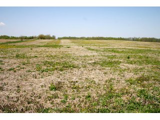 A gently rolling farm, just off of SR 205.  Includes frontage on the drainage ditch.  Per aerial map, Seller to retain 60' on east boundary of property and Seller to retain 60' easement on south side of ditch for ingress/egress. - 95 Acre Grain Farm