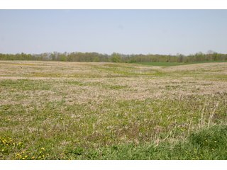 A gently rolling farm, just off of SR 205.  Includes frontage on the drainage ditch.  Per aerial map, Seller to retain 60' on east boundary of property and Seller to retain 60' easement on south side of ditch for ingress/egress. - 95 Acre Grain Farm