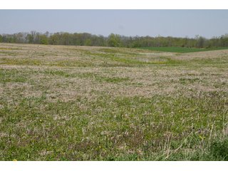 A gently rolling farm, just off of SR 205.  Includes frontage on the drainage ditch.  Per aerial map, Seller to retain 60' on east boundary of property and Seller to retain 60' easement on south side of ditch for ingress/egress. - 95 Acre Grain Farm