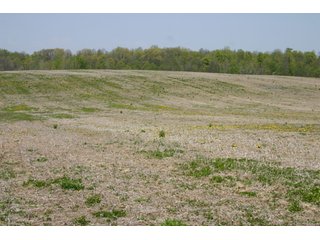 A gently rolling farm, just off of SR 205.  Includes frontage on the drainage ditch.  Per aerial map, Seller to retain 60' on east boundary of property and Seller to retain 60' easement on south side of ditch for ingress/egress. - 95 Acre Grain Farm