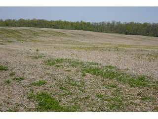 A gently rolling farm, just off of SR 205.  Includes frontage on the drainage ditch.  Per aerial map, Seller to retain 60' on east boundary of property and Seller to retain 60' easement on south side of ditch for ingress/egress. - 95 Acre Grain Farm