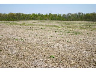 A gently rolling farm, just off of SR 205.  Includes frontage on the drainage ditch.  Per aerial map, Seller to retain 60' on east boundary of property and Seller to retain 60' easement on south side of ditch for ingress/egress. - 95 Acre Grain Farm