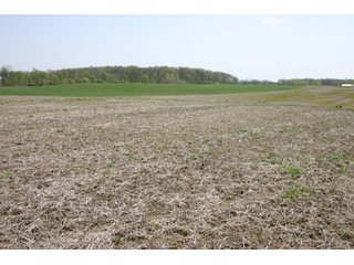 A gently rolling farm, just off of SR 205.  Includes frontage on the drainage ditch.  Per aerial map, Seller to retain 60' on east boundary of property and Seller to retain 60' easement on south side of ditch for ingress/egress. - 95 Acre Grain Farm