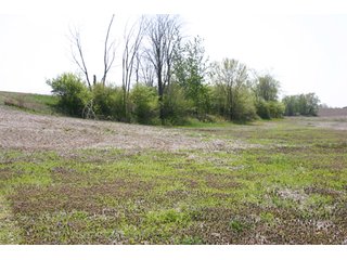 A gently rolling farm, just off of SR 205.  Includes frontage on the drainage ditch.  Per aerial map, Seller to retain 60' on east boundary of property and Seller to retain 60' easement on south side of ditch for ingress/egress. - 95 Acre Grain Farm