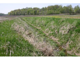 A gently rolling farm, just off of SR 205.  Includes frontage on the drainage ditch.  Per aerial map, Seller to retain 60' on east boundary of property and Seller to retain 60' easement on south side of ditch for ingress/egress. - 95 Acre Grain Farm