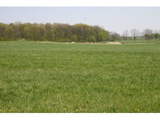 A gently rolling farm, just off of SR 205.  Includes frontage on the drainage ditch.  Per aerial map, Seller to retain 60' on east boundary of property and Seller to retain 60' easement on south side of ditch for ingress/egress. - 95 Acre Grain Farm