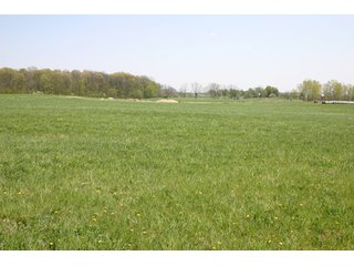 A gently rolling farm, just off of SR 205.  Includes frontage on the drainage ditch.  Per aerial map, Seller to retain 60' on east boundary of property and Seller to retain 60' easement on south side of ditch for ingress/egress. - 95 Acre Grain Farm