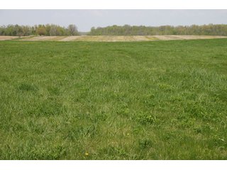 A gently rolling farm, just off of SR 205.  Includes frontage on the drainage ditch.  Per aerial map, Seller to retain 60' on east boundary of property and Seller to retain 60' easement on south side of ditch for ingress/egress. - 95 Acre Grain Farm