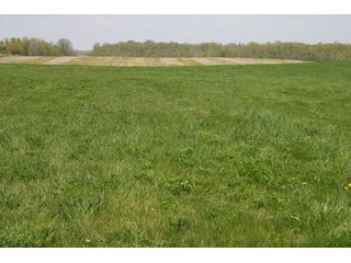 A gently rolling farm, just off of SR 205.  Includes frontage on the drainage ditch.  Per aerial map, Seller to retain 60' on east boundary of property and Seller to retain 60' easement on south side of ditch for ingress/egress. - 95 Acre Grain Farm