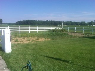 100 acres all cropland.  High quality soils.  
Estimated 1,568 ft. of frontage on Hwy 27.
22,500 traffic count/day.
City water and sewer - 3 phase electric (12" water line), (2 sewer locations).
Tax exchange opportunity.
Buyer to assume crop lease for 2010 at $13,260/year.
Pretty farmstead may be purchase separately.
Adjoining 4 acre exception is available.

  - 100 Acres Investment Cropland