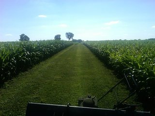 100 acres all cropland.  High quality soils.  
Estimated 1,568 ft. of frontage on Hwy 27.
22,500 traffic count/day.
City water and sewer - 3 phase electric (12" water line), (2 sewer locations).
Tax exchange opportunity.
Buyer to assume crop lease for 2010 at $13,260/year.
Pretty farmstead may be purchase separately.
Adjoining 4 acre exception is available.

  - 100 Acres Investment Cropland