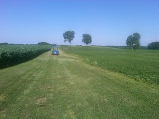 100 acres all cropland.  High quality soils.  
Estimated 1,568 ft. of frontage on Hwy 27.
22,500 traffic count/day.
City water and sewer - 3 phase electric (12" water line), (2 sewer locations).
Tax exchange opportunity.
Buyer to assume crop lease for 2010 at $13,260/year.
Pretty farmstead may be purchase separately.
Adjoining 4 acre exception is available.

  - 100 Acres Investment Cropland