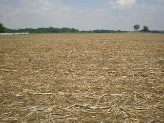 100 acres all cropland.  High quality soils.  
Estimated 1,568 ft. of frontage on Hwy 27.
22,500 traffic count/day.
City water and sewer - 3 phase electric (12" water line), (2 sewer locations).
Tax exchange opportunity.
Buyer to assume crop lease for 2010 at $13,260/year.
Pretty farmstead may be purchase separately.
Adjoining 4 acre exception is available.

  - 100 Acres Investment Cropland