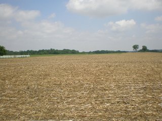 100 acres all cropland.  High quality soils.  
Estimated 1,568 ft. of frontage on Hwy 27.
22,500 traffic count/day.
City water and sewer - 3 phase electric (12" water line), (2 sewer locations).
Tax exchange opportunity.
Buyer to assume crop lease for 2010 at $13,260/year.
Pretty farmstead may be purchase separately.
Adjoining 4 acre exception is available.

  - 100 Acres Investment Cropland