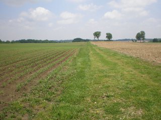 100 acres all cropland.  High quality soils.  
Estimated 1,568 ft. of frontage on Hwy 27.
22,500 traffic count/day.
City water and sewer - 3 phase electric (12" water line), (2 sewer locations).
Tax exchange opportunity.
Buyer to assume crop lease for 2010 at $13,260/year.
Pretty farmstead may be purchase separately.
Adjoining 4 acre exception is available.

  - 100 Acres Investment Cropland