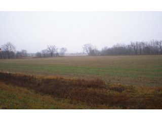 - All cropland.  
- Excellent Productive Soils.
- Likely not dwelling site due to flood plain.
- Adjoining Greens Fork River for recreation.

 - Combination Investment and Recreational Property