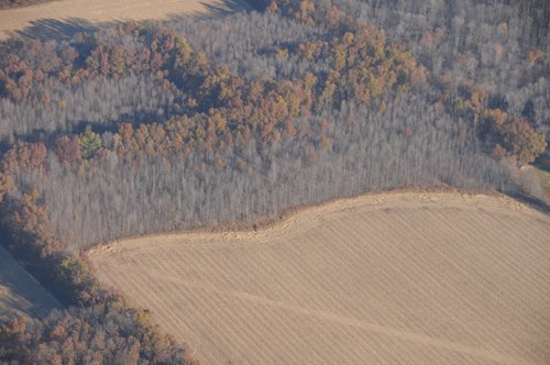 Property photo 37 - PRIME OHIO FARMLAND AUCTION - 100.8 Acres Offered in 3 Tracts
