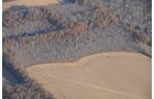 Property photo 37 - PRIME OHIO FARMLAND AUCTION - 100.8 Acres Offered in 3 Tracts