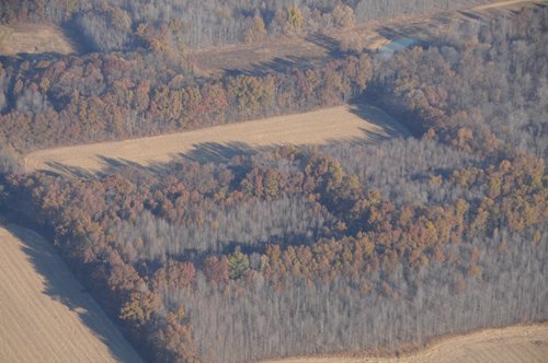 Property photo 15 - PRIME OHIO FARMLAND AUCTION - 100.8 Acres Offered in 3 Tracts